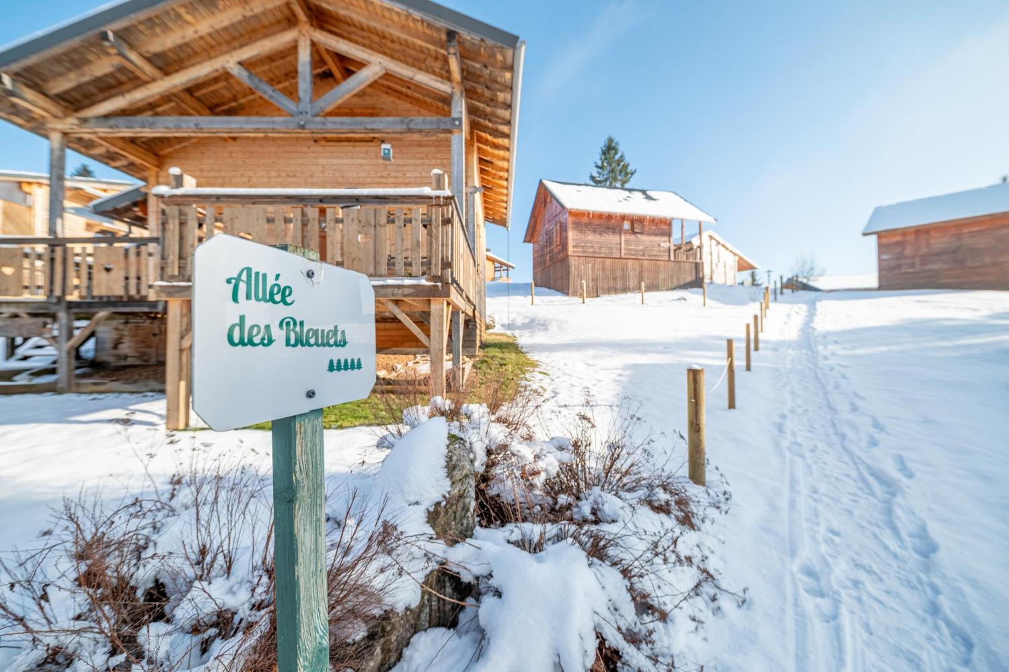 Chalet L'Embellie - Chalet Avec Piscine Partagee Saint-Laurent-en-Grandvaux المظهر الخارجي الصورة
